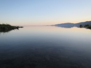 Wellington bis Napier-007